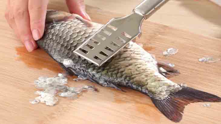 Очистка рыбы скребком 