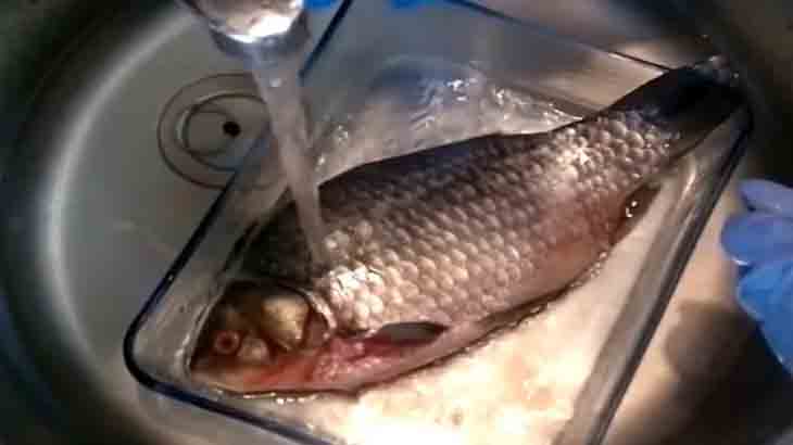 Очистка рыбы в раковине